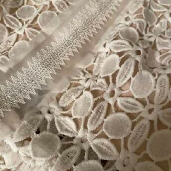 //BEST SELLER// Mesh Insert Mock Neck Flounce Sleeve Lace Dress - Picture 9 of 9